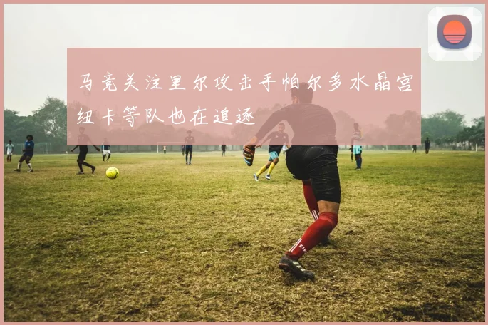 马竞关注里尔攻击手帕尔多水晶宫纽卡等队也在追逐